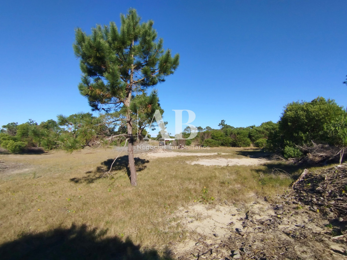 Terreno ID.329 - La Esmeralda. Terreno nivelado y limpio a metros de la playa.