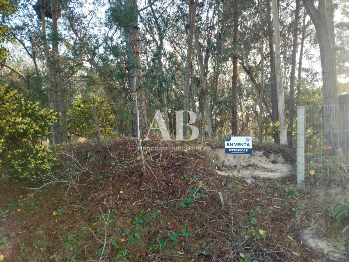 Terreno ID.132 - Terreno en La Esmeralda centro - Mza 312