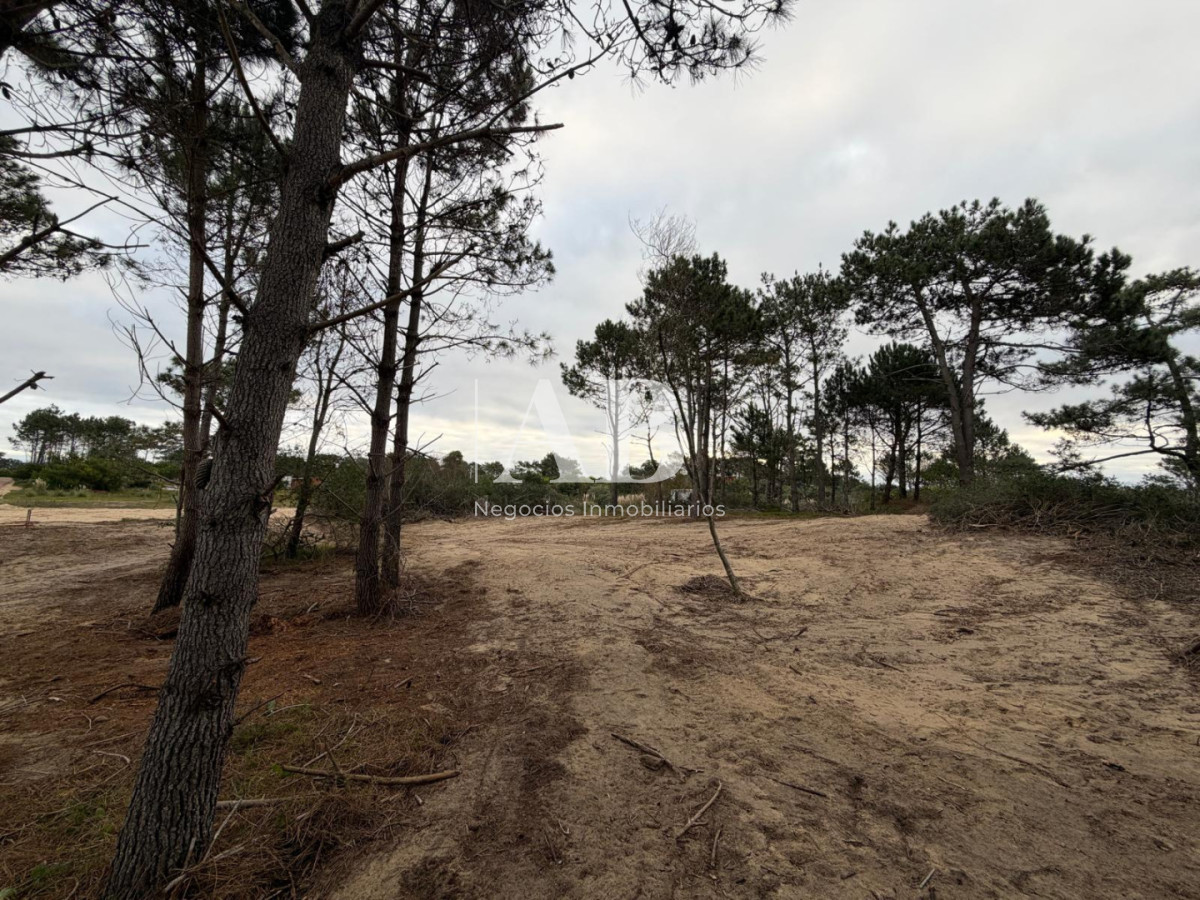 Terreno ID.320 - Solar de 590m2 a 1000m de la Playa-Punta del Diablo