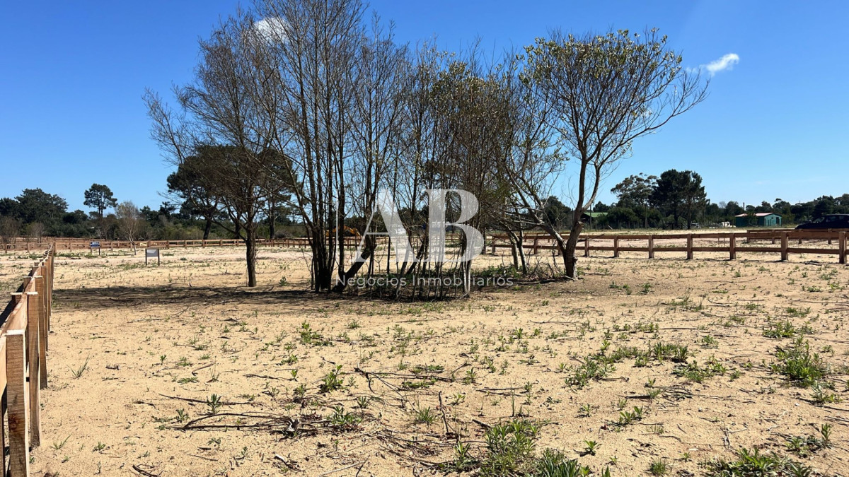 Terreno ID.264 - Terreno 2 en Distrito - Entrega U$D3.500 Punta del Diablo