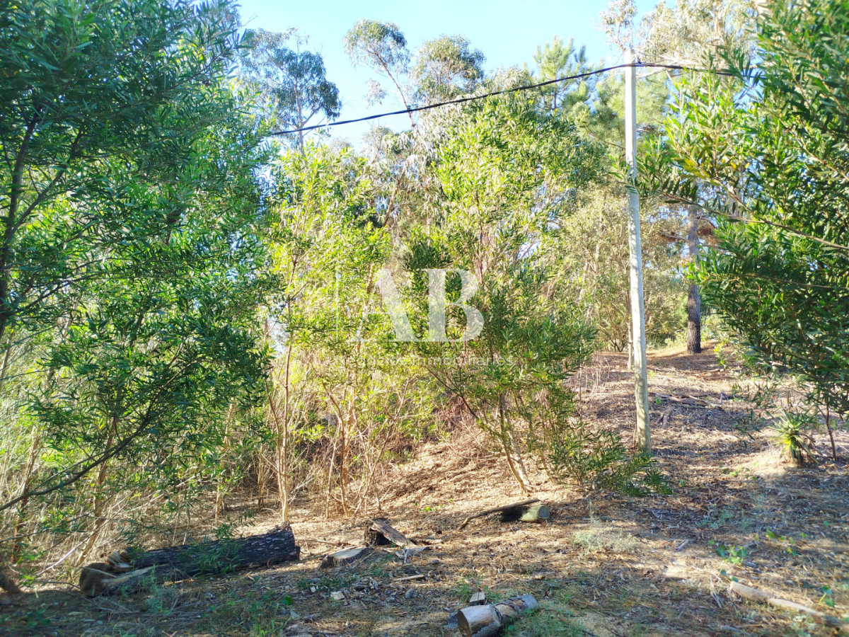 Terreno ID.299 - Lote de 1050m2 a pocas cuadras de la playa