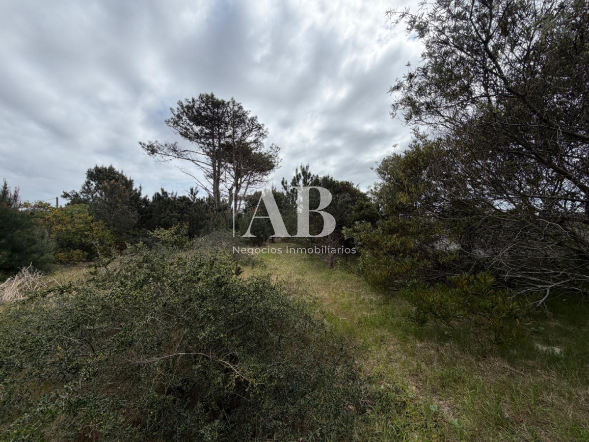Terreno ID.363 - En venta solar en  punta del diablo a 1000m del mar