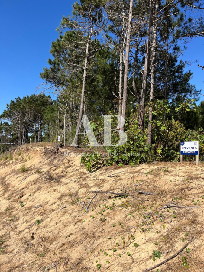 Terreno ID.237 - Terrenos en 2da línea Playa Grande - Punta del Diablo