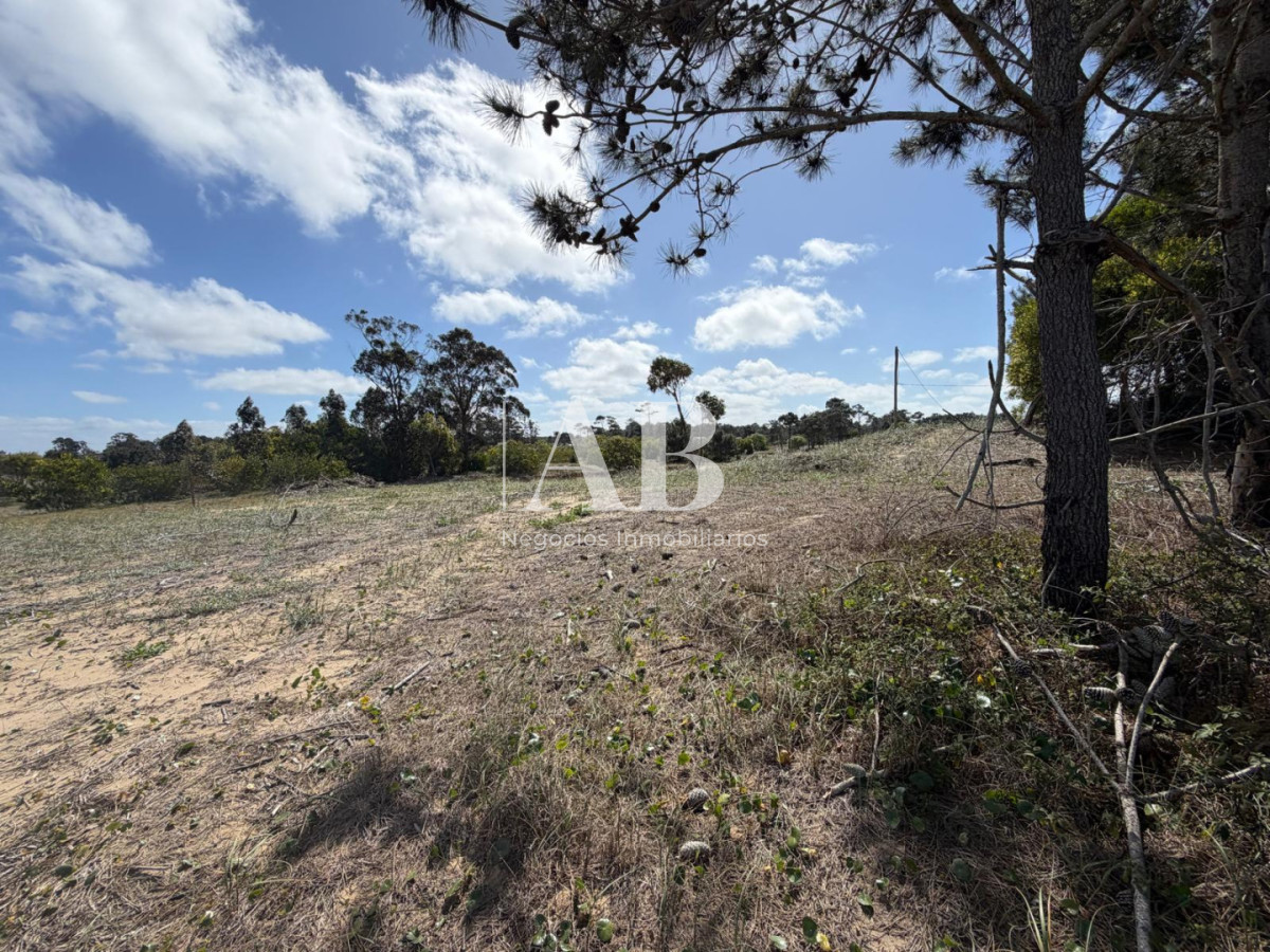Terreno ID.375 - Oportunidad 10 lotes en Playa La Viuda a 10 cuadras del Mar ! FINANCIADOS