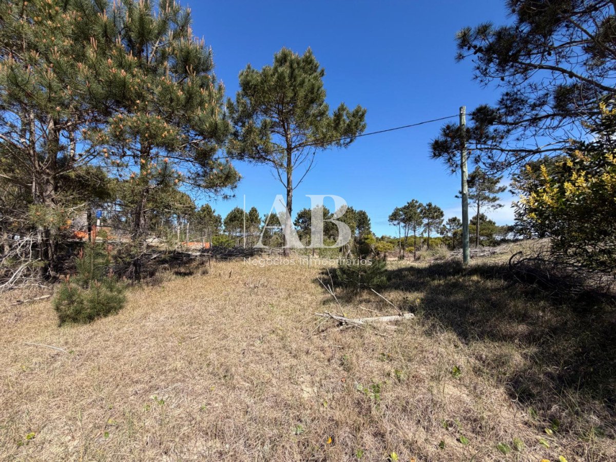 Terreno ID.358 - En venta terreno en la viuda a 1000m del mar