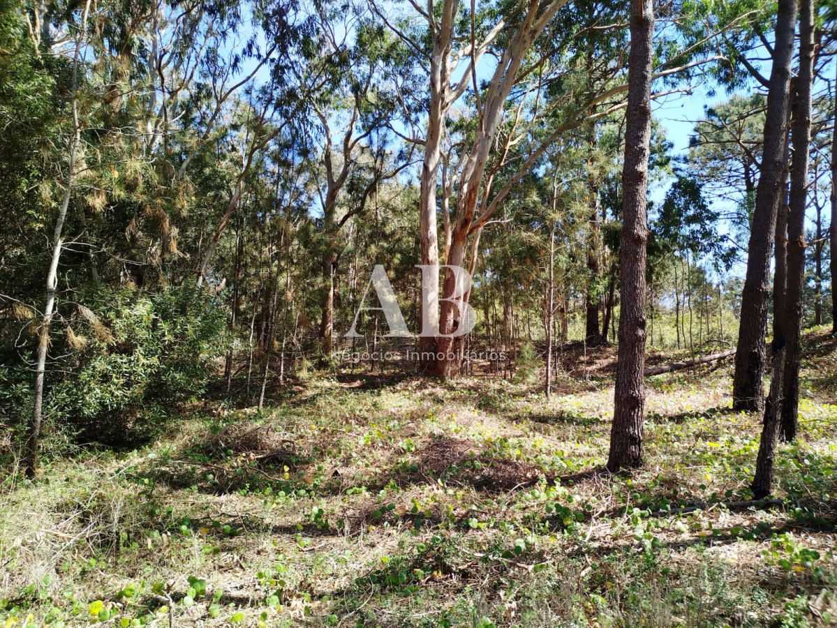 Terreno ID.273 - Dos terrenos a pocos metros de la playa en La Esmeralda.