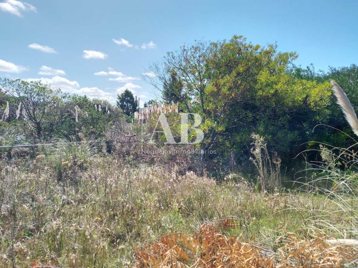 Terreno ID.111 - Terrenos zona Terminal. Mza 50