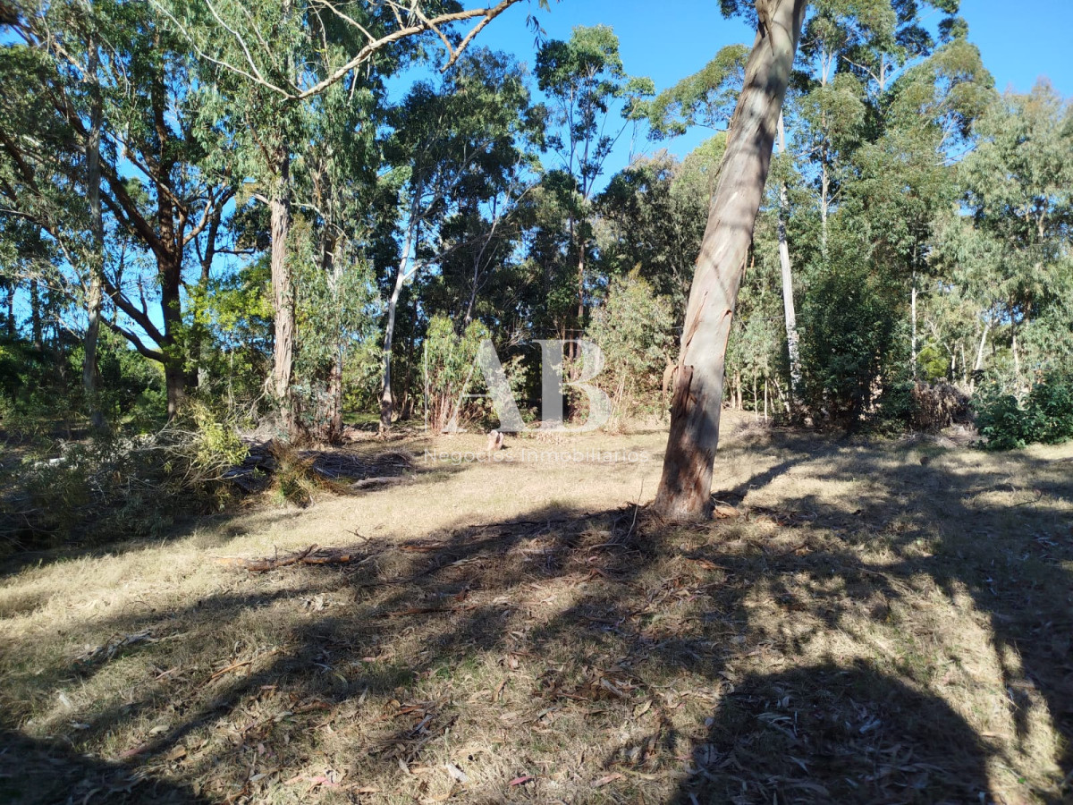 Apartamento ID.251 - Terreno zona Centro - La Esmeralda.