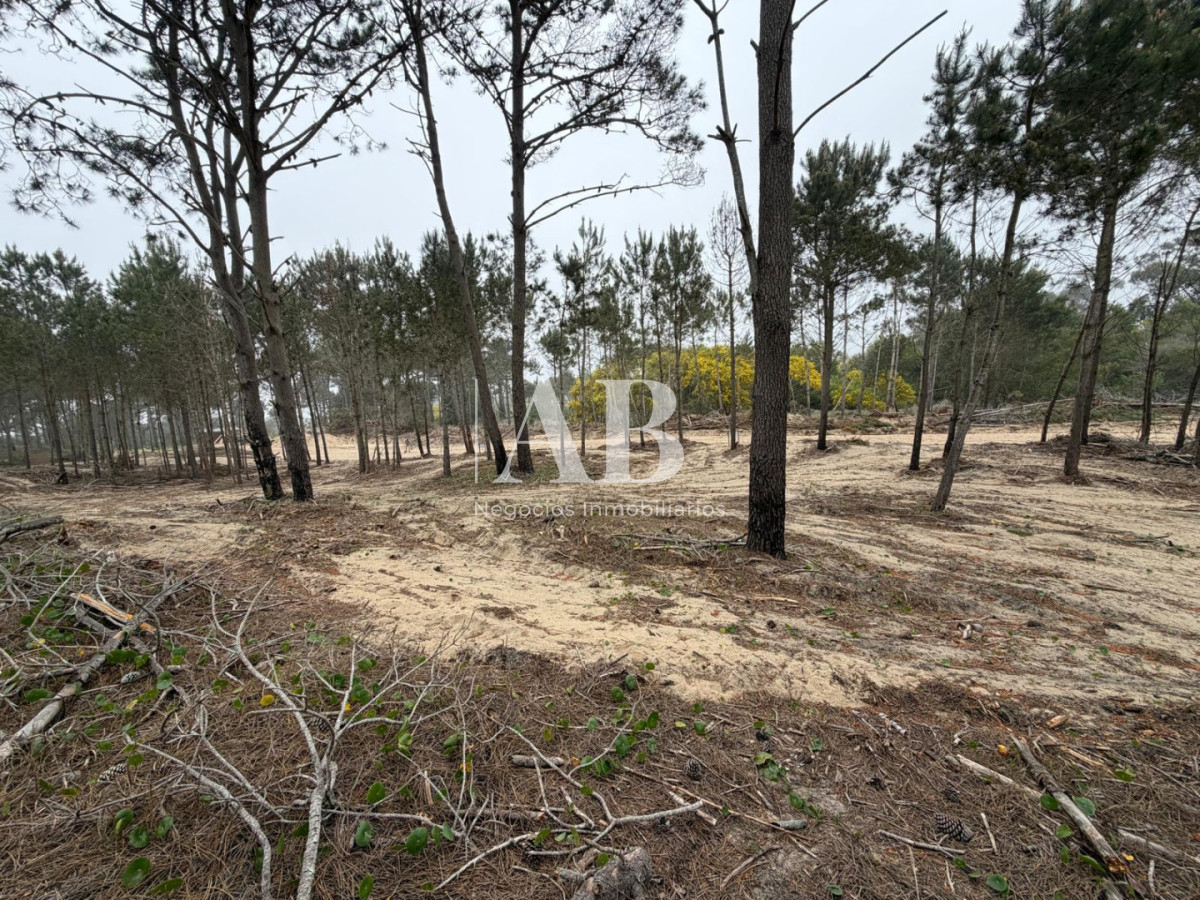Terreno ID.380 - Oportunidad solar en Playa La Viuda a 10 cuadras del Mar ! FINANCIADO solar 7