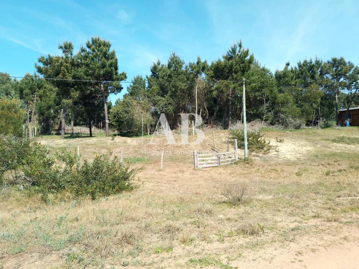 Terreno ID.156 - Terreno elevado La Esmeralda Av. 54 Mza 238