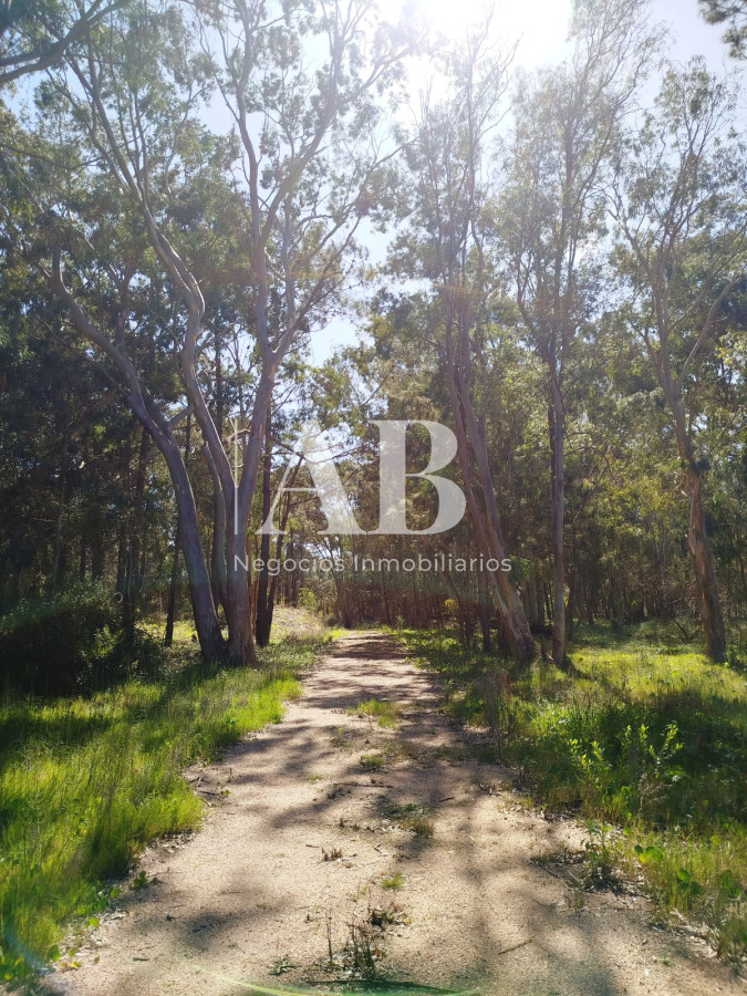 Terreno ID.273 - Dos terrenos a pocos metros de la playa en La Esmeralda.