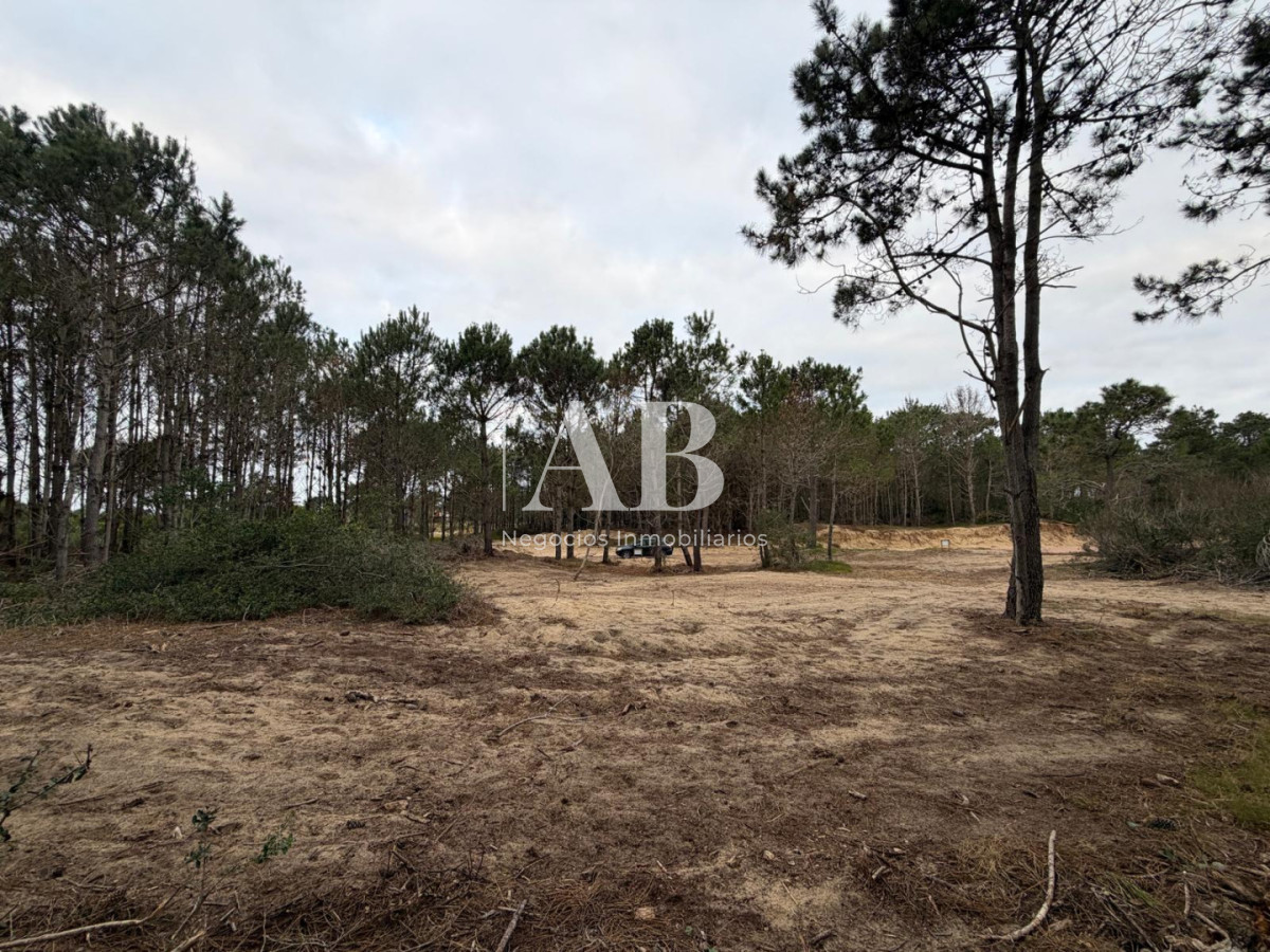 Terreno ID.319 - En venta Solar Esquinero Punta del Diablo- La Viuda