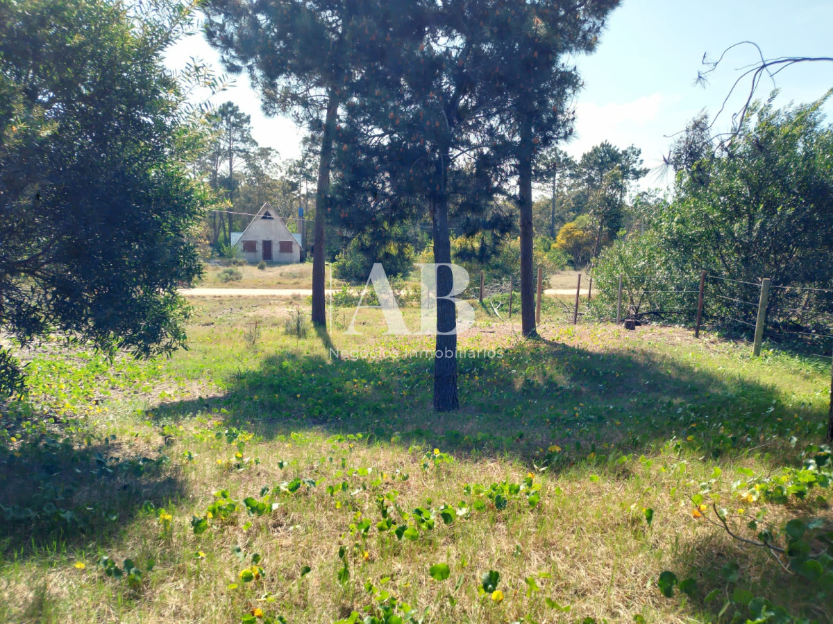 Terreno ID.156 - Terreno elevado La Esmeralda Av. 54 Mza 238