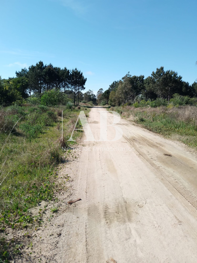 Terreno ID.157 - Terreno La Esmeralda Mza. 383 s.13