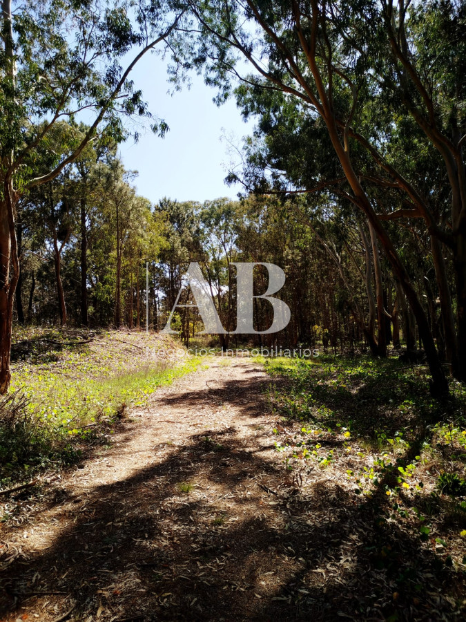 Terreno ID.273 - Dos terrenos a pocos metros de la playa en La Esmeralda.