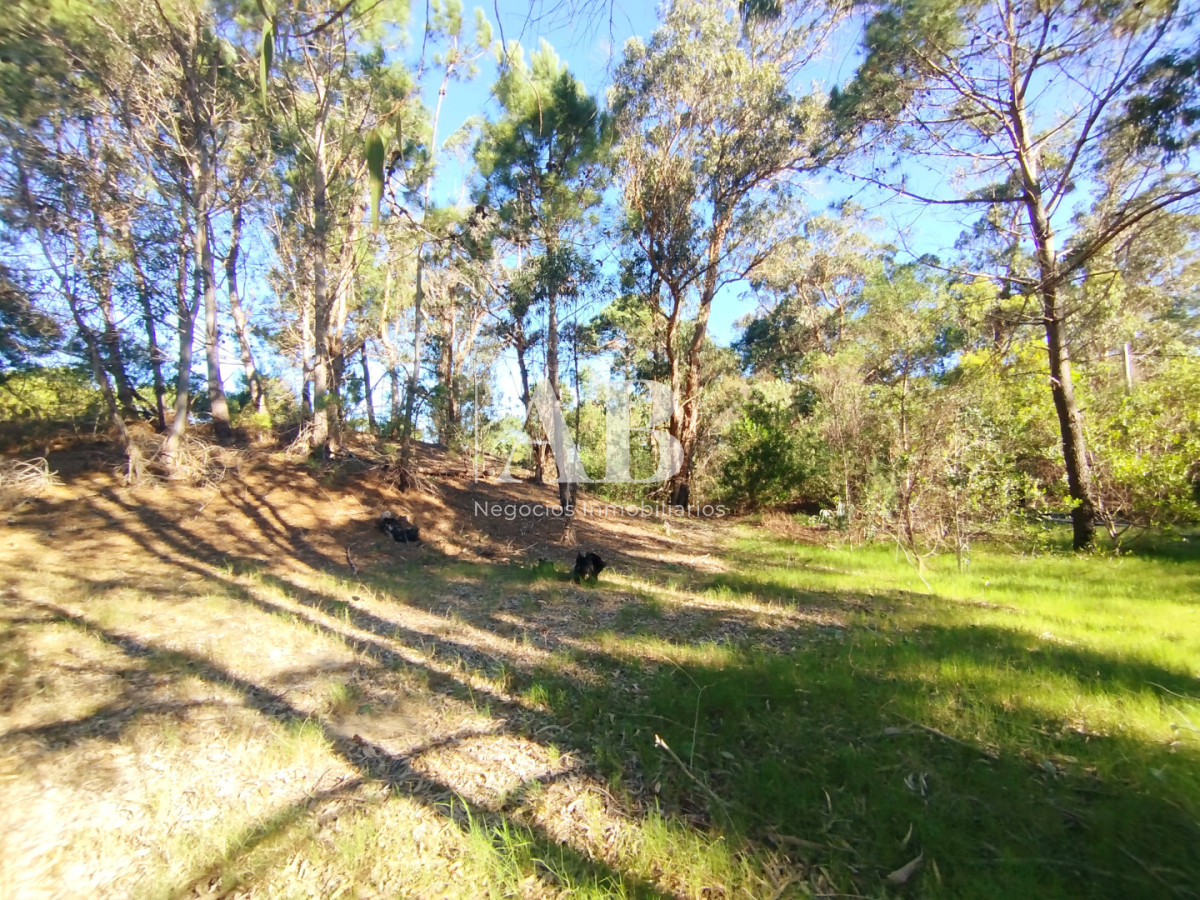 Terreno ID.299 - Lote de 1050m2 a pocas cuadras de la playa