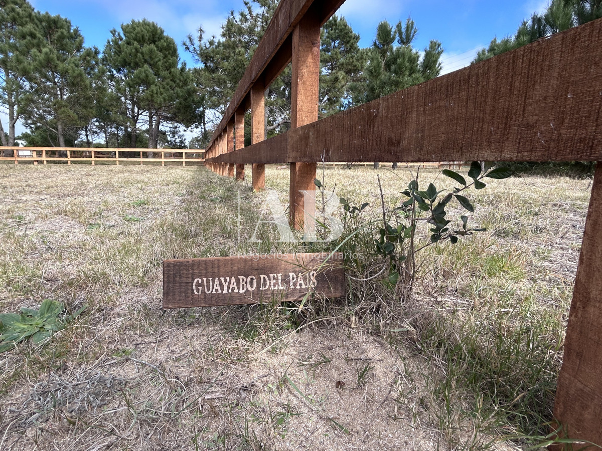 Terreno ID.75 - Raíces - Solares financiados a 200m Playa LaViuda 