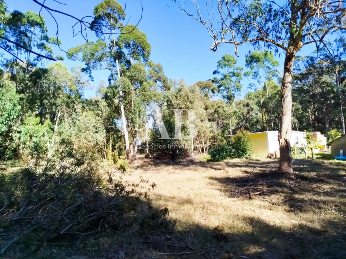 Apartamento ID.251 - Terreno zona Centro - La Esmeralda.