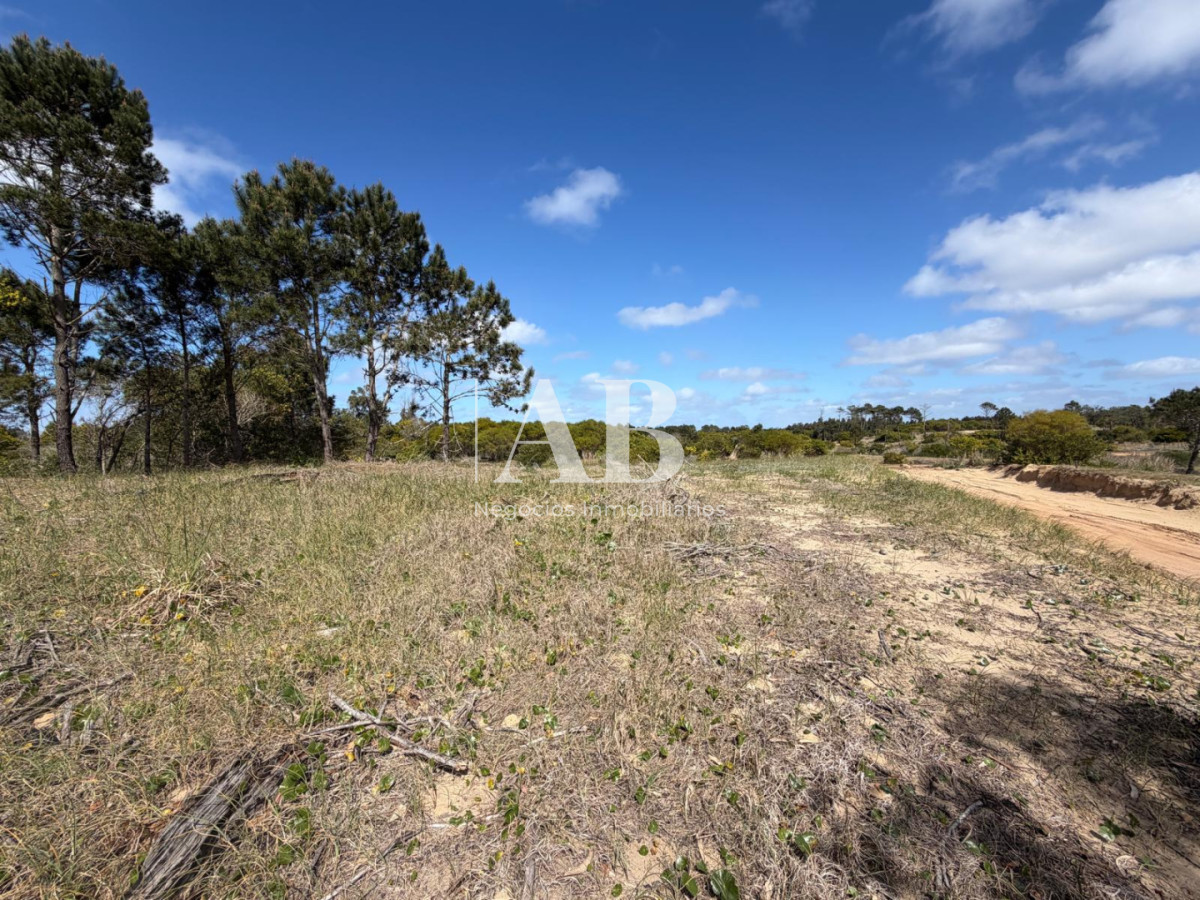 Terreno ID.375 - Oportunidad 10 lotes en Playa La Viuda a 10 cuadras del Mar ! FINANCIADOS