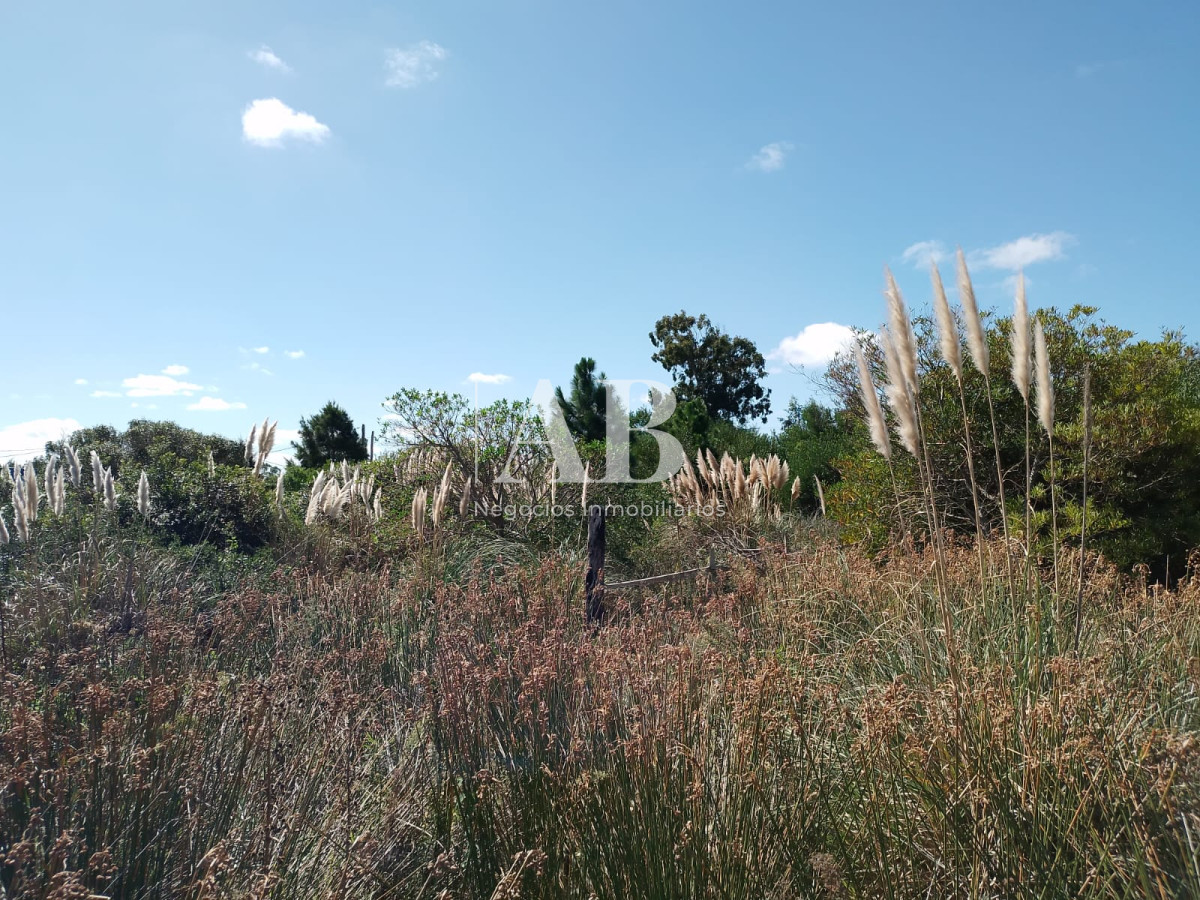 Terreno ID.111 - Terrenos zona Terminal. Mza 50