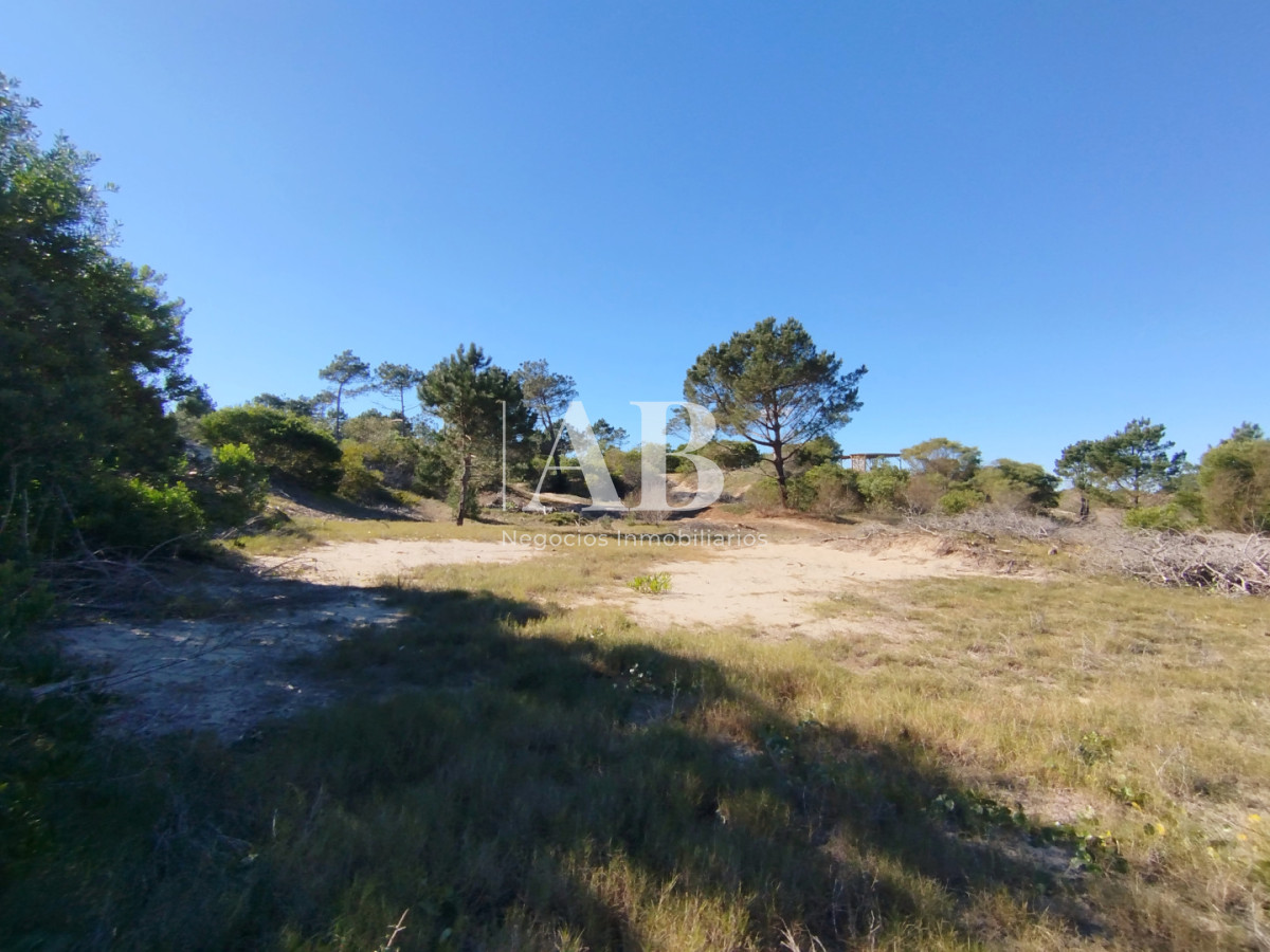 Terreno ID.329 - La Esmeralda. Terreno nivelado y limpio a metros de la playa.