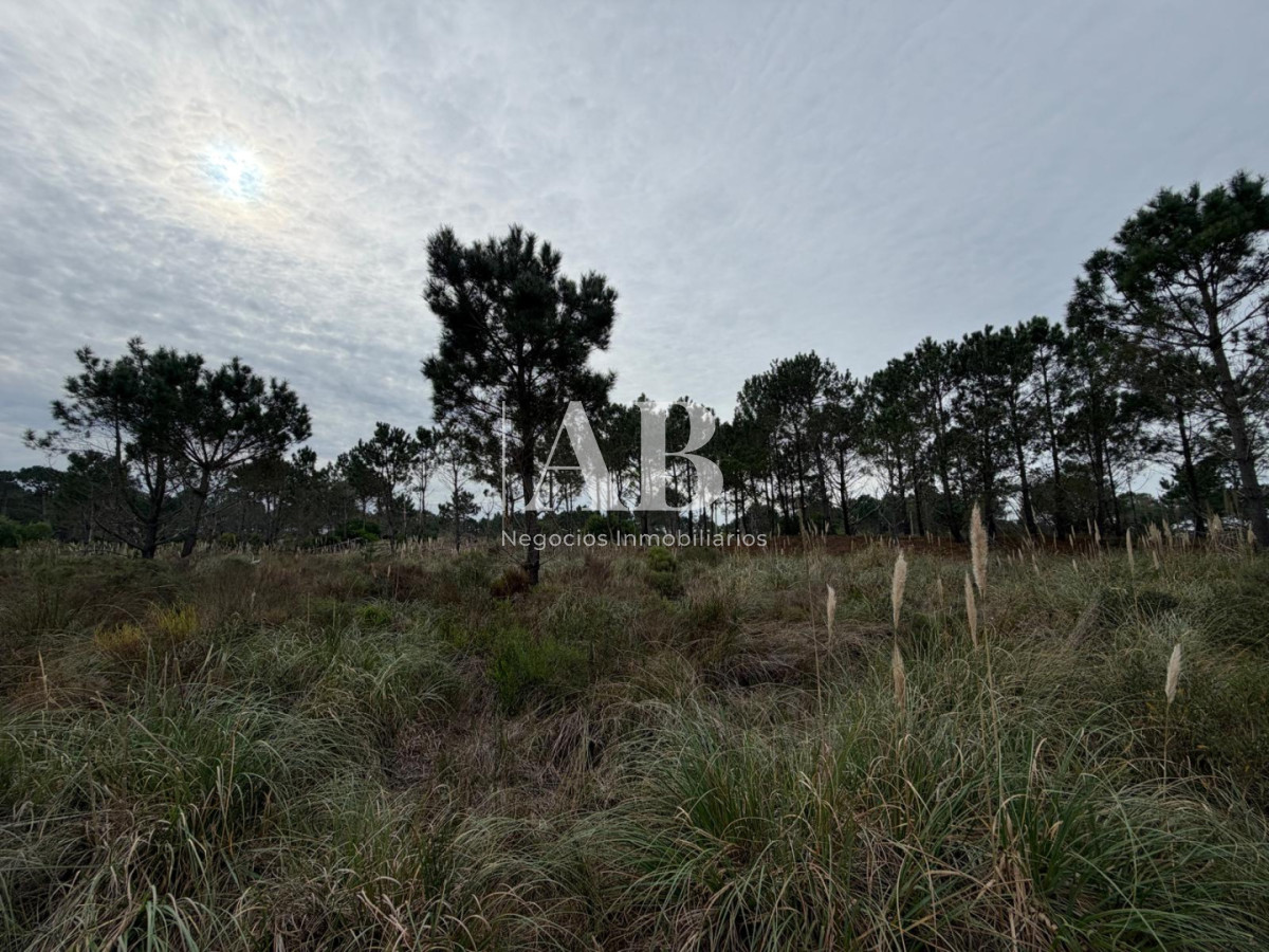 Terreno ID.322 - Solar Esquinero a 400M de la Playa- La Viuda