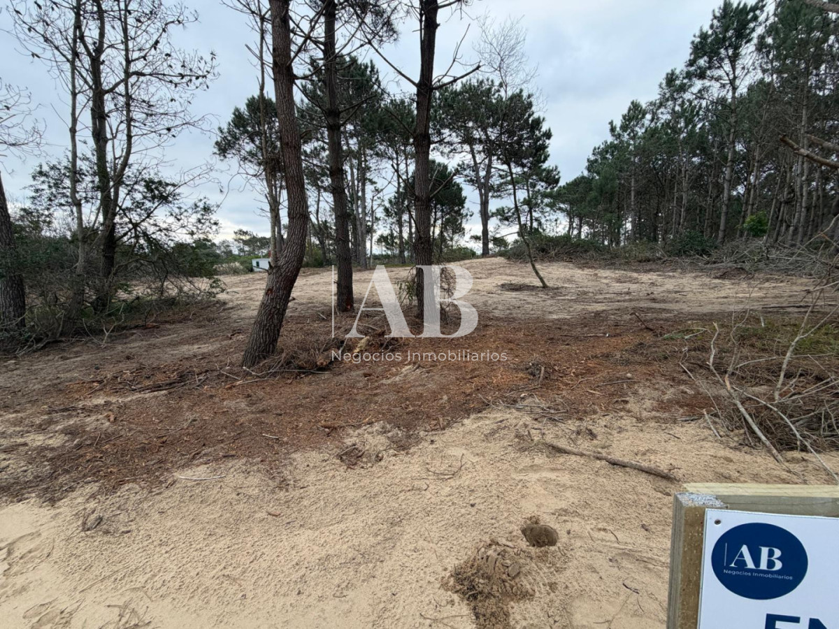 Terreno ID.319 - En venta Solar Esquinero Punta del Diablo- La Viuda