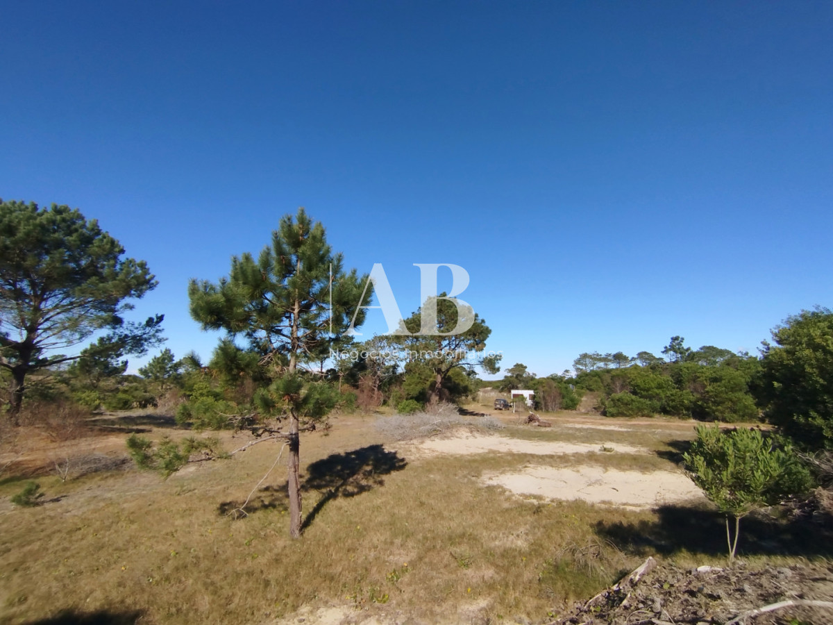 Terreno ID.329 - La Esmeralda. Terreno nivelado y limpio a metros de la playa.