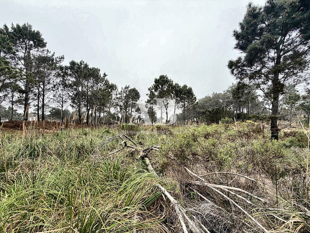 Terreno ID.377 - Solar de 510m2 a 400m de Playa 