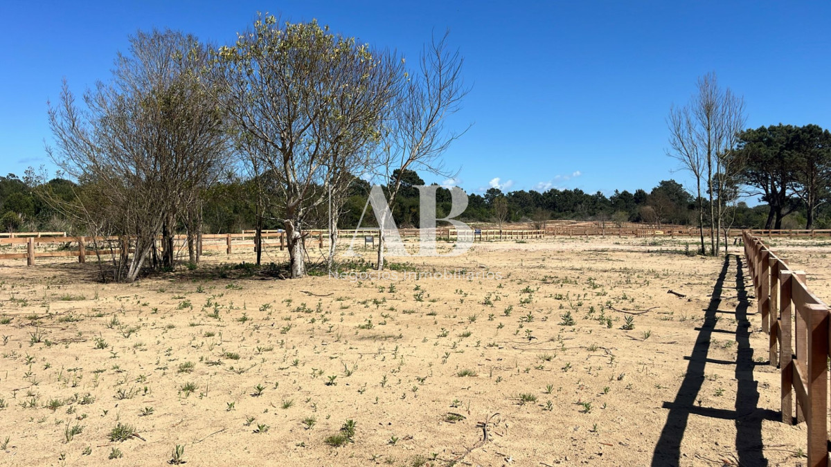Terreno ID.257 - Distrito. Terrenos con Entrega de U$D3500 - Punta del Diablo