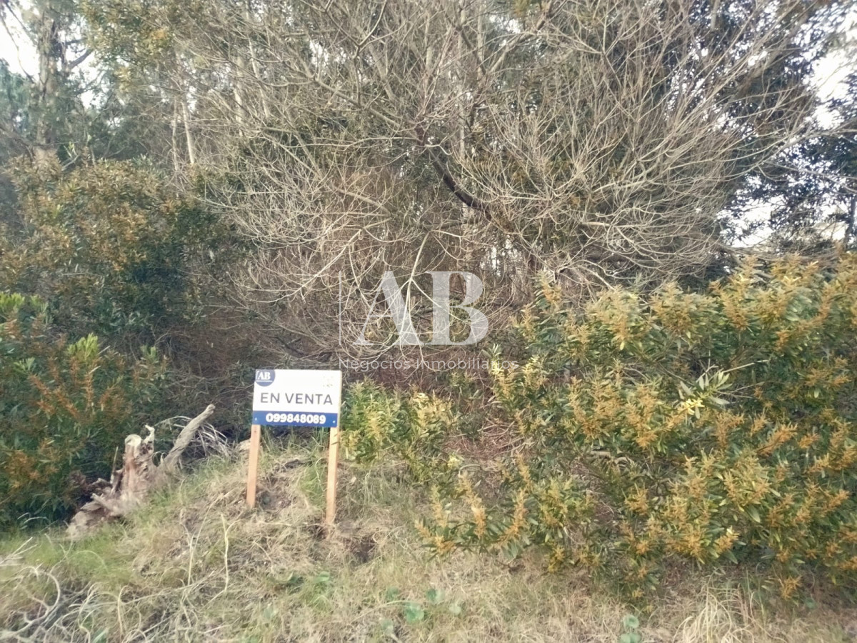 Terreno ID.146 - Terreno La Esmeralda calle 37 Mza. 222