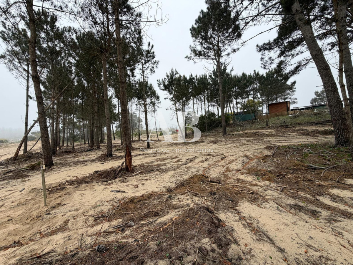 Terreno ID.380 - Oportunidad solar en Playa La Viuda a 10 cuadras del Mar ! FINANCIADO solar 7