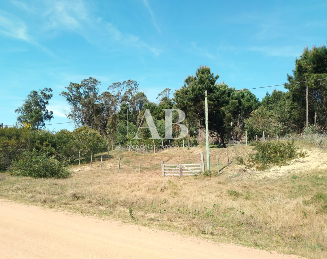 Terreno ID.156 - Terreno elevado La Esmeralda Av. 54 Mza 238