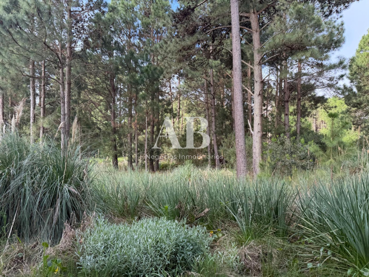 Terreno ID.385 - ¡ OPORTUNIDAD ! En venta 1000m2 en Punta Del Diablo Barrio Pinares