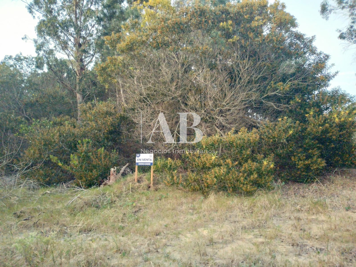 Terreno ID.146 - Terreno La Esmeralda calle 37 Mza. 222