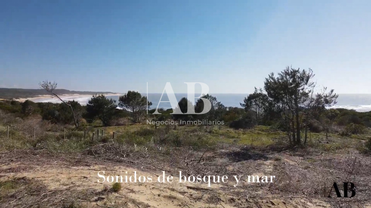 Terreno ID.67 - Terrenos en 2da linea Playa Grande - Financiados -  Punta del Diablo