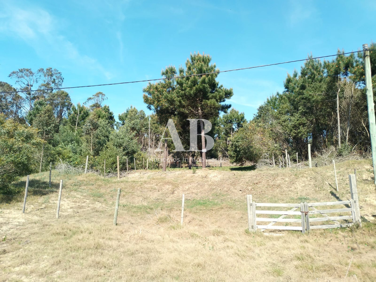 Terreno ID.156 - Terreno elevado La Esmeralda Av. 54 Mza 238