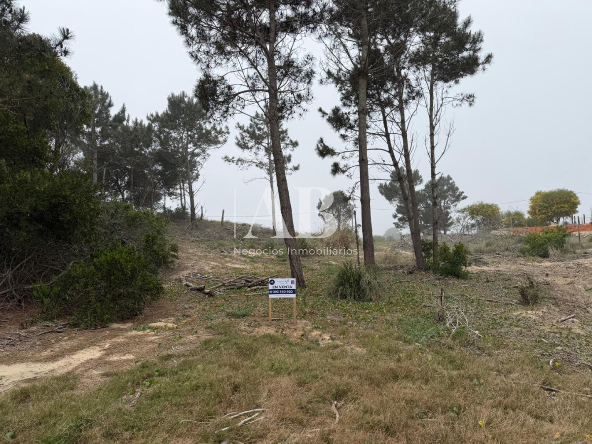 Terreno ID.382 - Oportunidad solar en Playa La Viuda a 10 cuadras del Mar ! FINANCIADO solar 3
