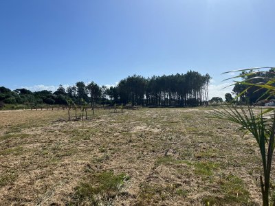 Terrenos Financiados a 9 cuadras de Playa La Viuda -Mza 309