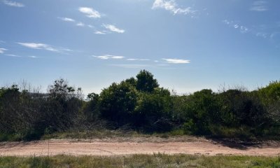 Terreno de 1000m2 en Playa Grande, segunda línea - Mza 19