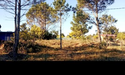 Terreno alto, nivelado, cercado, amojonado, con luz - Punta del Diablo