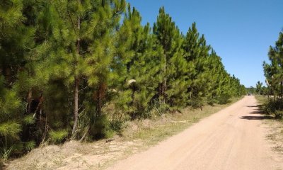 3 Solares Barrio Pinares - Punta Del Diablo - Mza 125