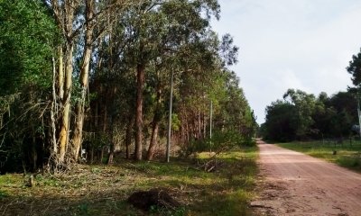 Terreno en La Esmeralda en calle 35