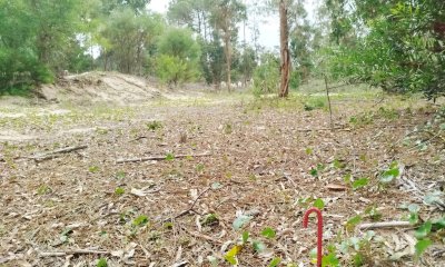 Terreno Limpio, nivelado y amojonado zona centro. La Esmeralda.
