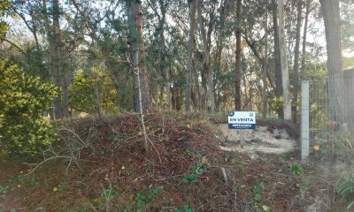 Terreno en La Esmeralda centro - Mza 312