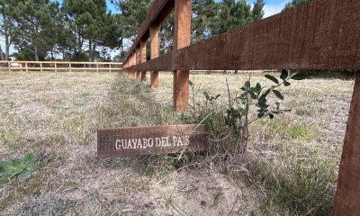 Raíces - Solares financiados a 200m Playa LaViuda