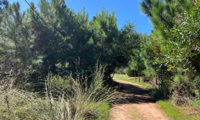 Terreno próximo a Av. Central - Mza 80 - Punta del Diablo