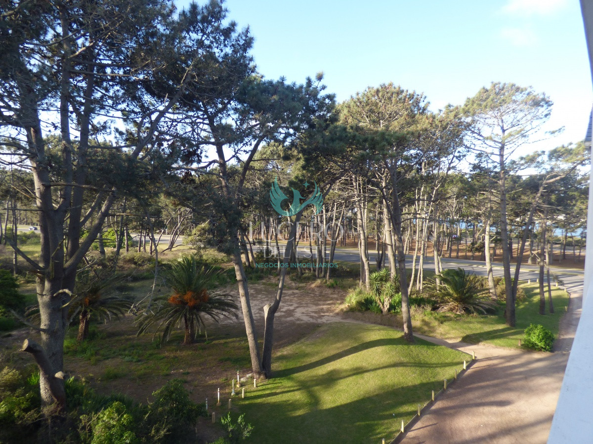 Apartamento ID.56 - Alquiler Departamento 3 Dorm + 1 en PH, con terraza y Jacuzzi 