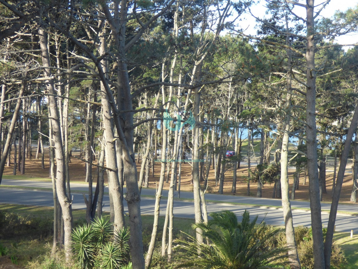 Apartamento ID.56 - Alquiler Departamento 3 Dorm + 1 en PH, con terraza y Jacuzzi 