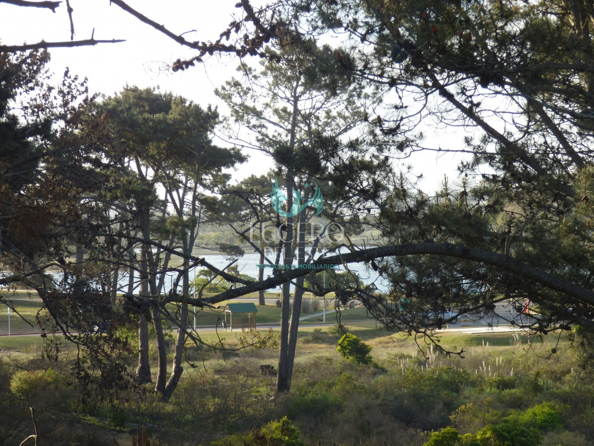 Apartamento ID.56 - Alquiler Departamento 3 Dorm + 1 en PH, con terraza y Jacuzzi 